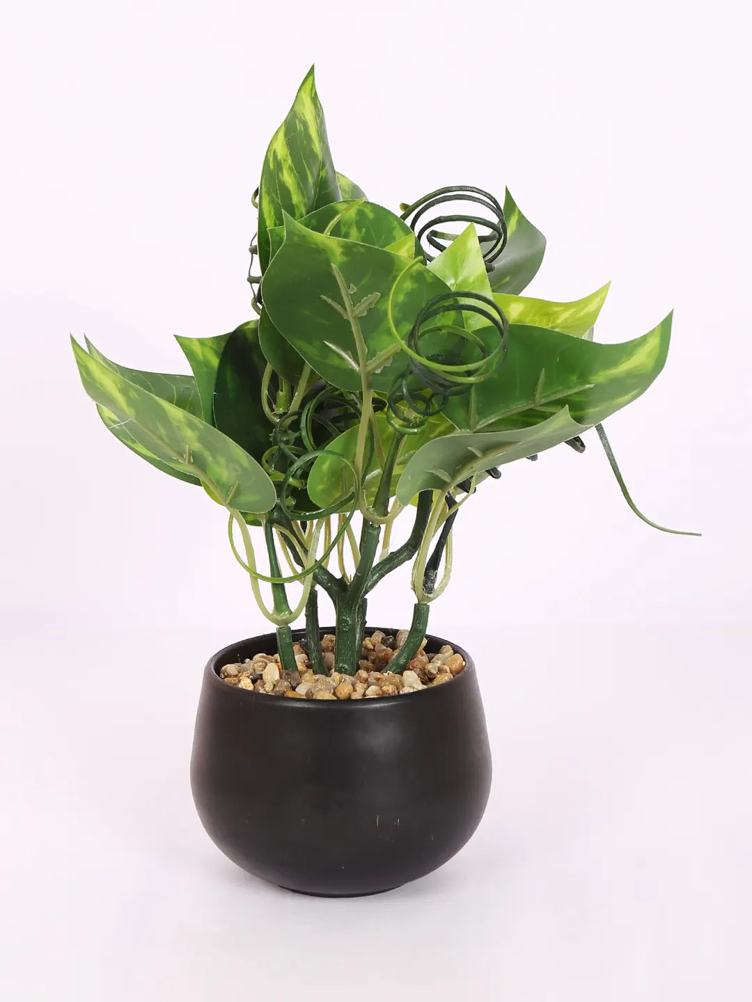 Artificial Money Bonsai Plant with black Pot