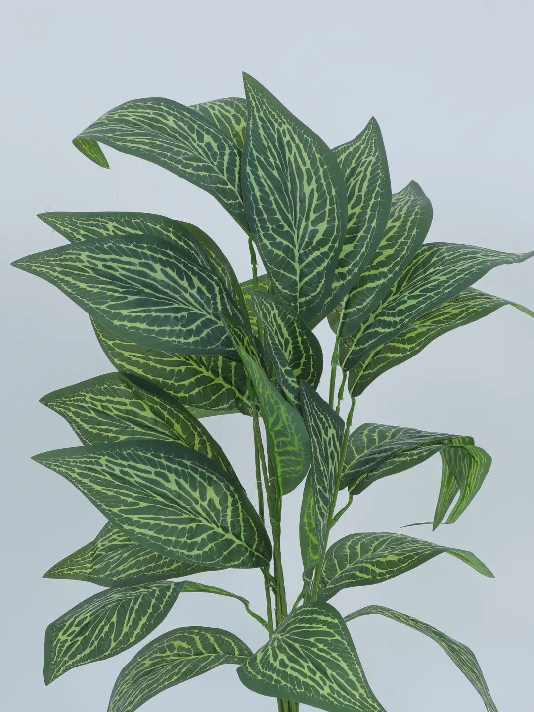 2.2Ft Artificial White Croton Plants|26 Leaves With Black Pot