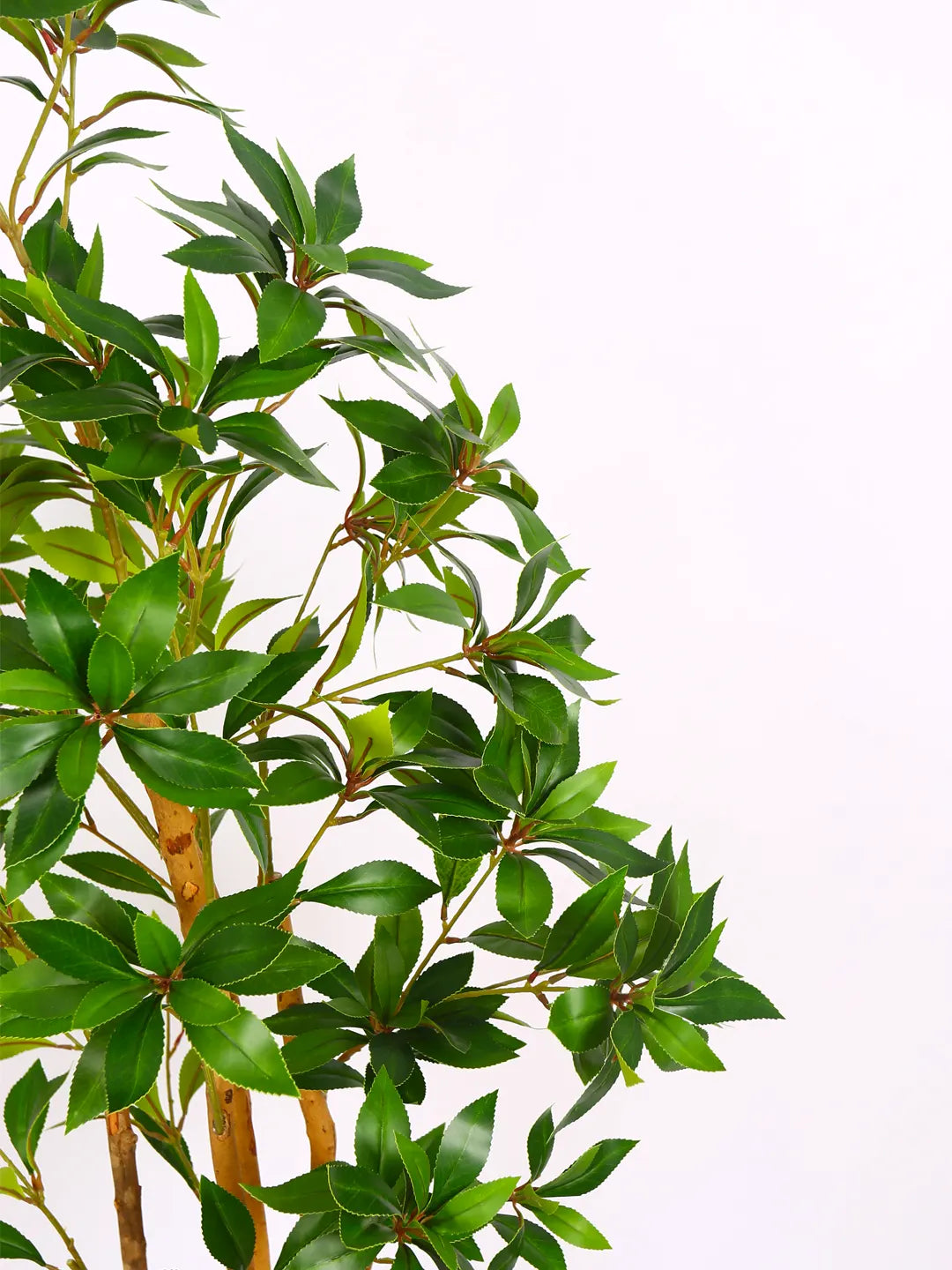 5Ft Artificial Real Touch Italian Ruscus Plants with Pot