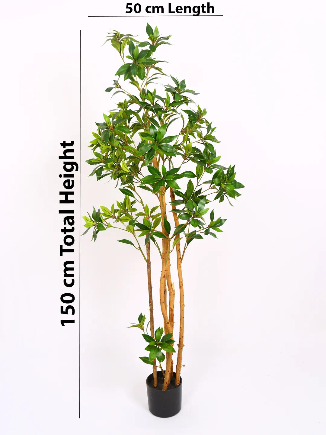 5Ft Artificial Real Touch Italian Ruscus Plants with Pot