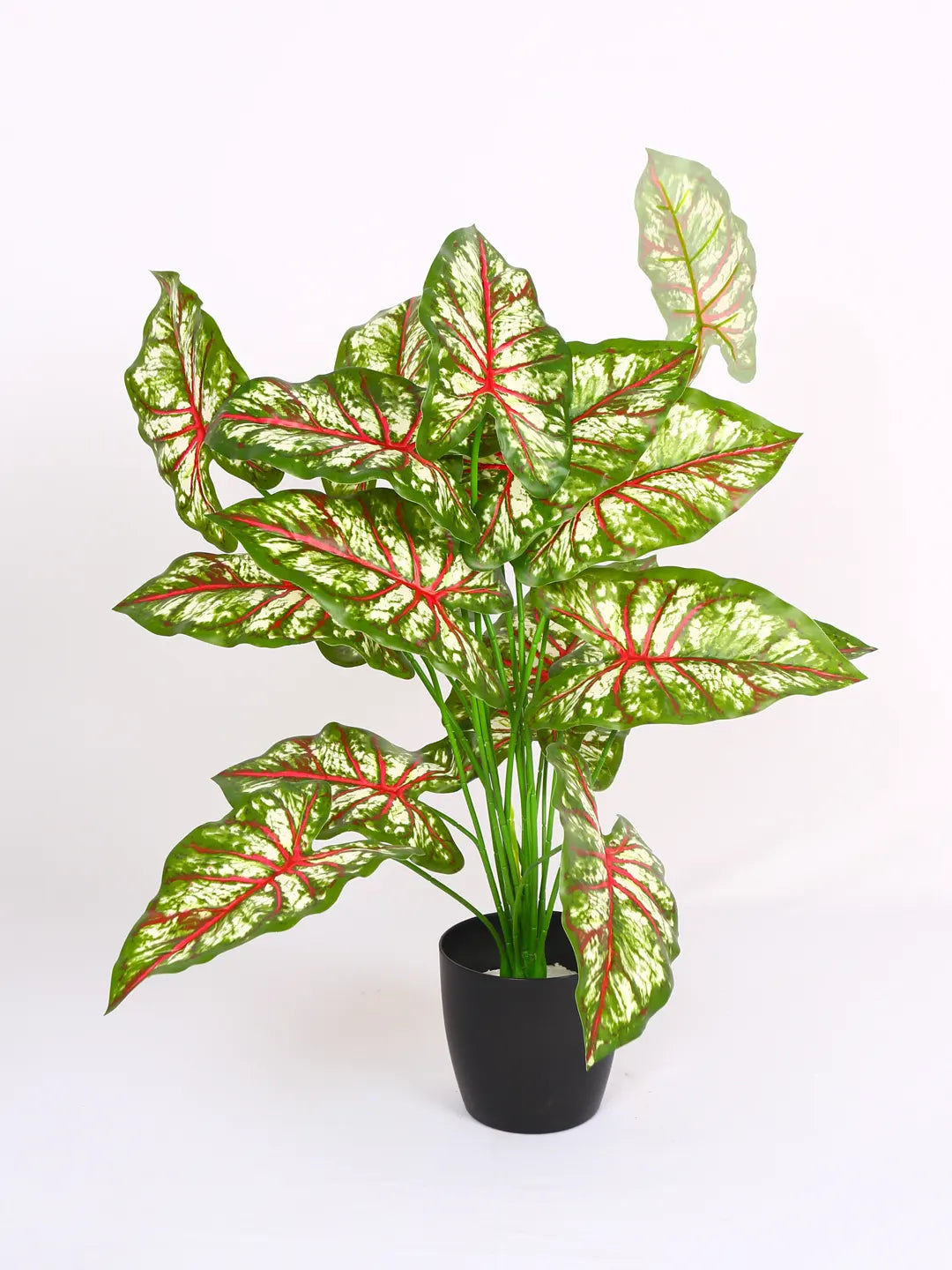 2.1Ft Artificial Calatheas Floor Plant with 18 Big Leaves with Pot