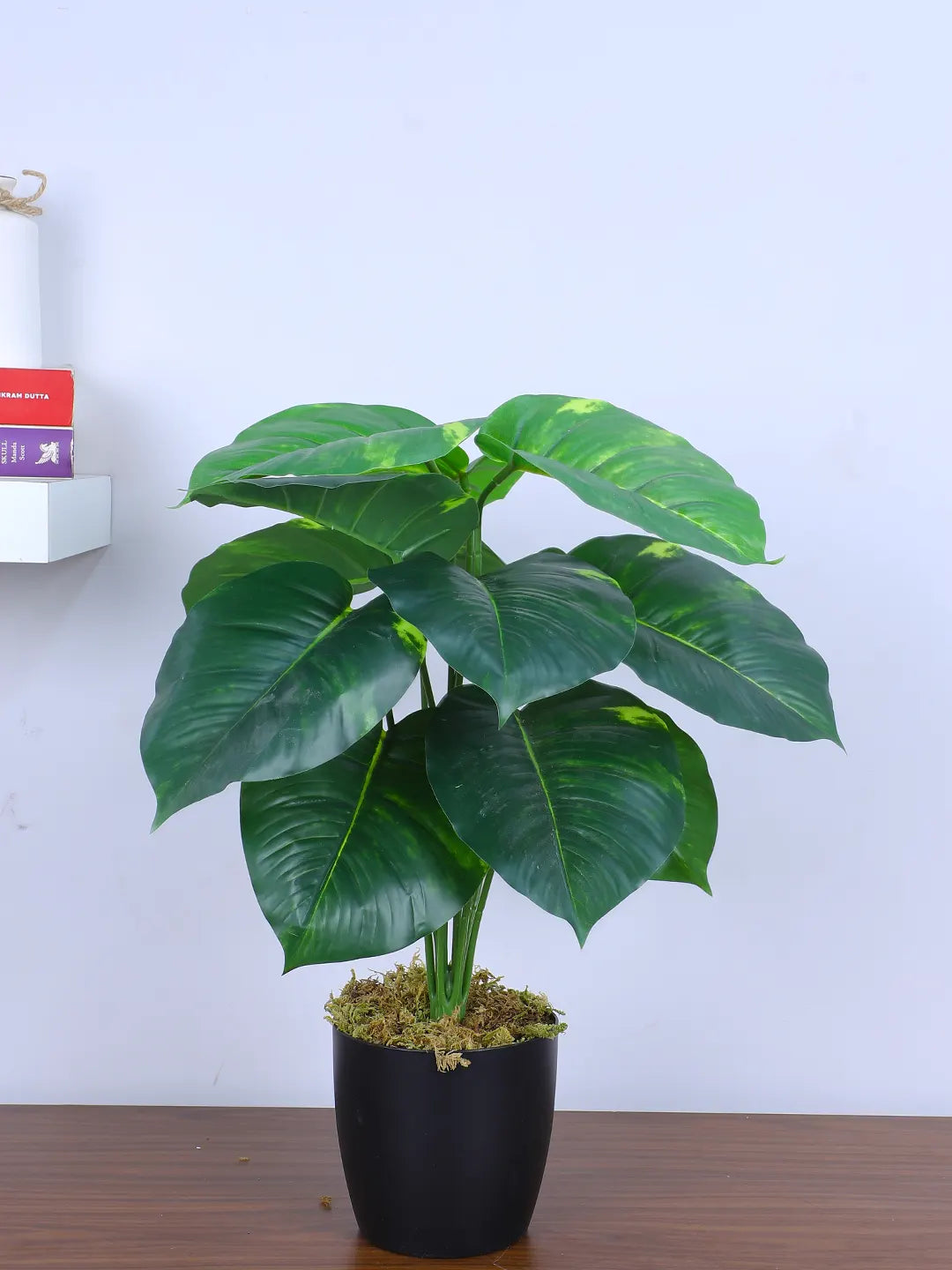 1.8Ft Artificial Money Plant With Pot
