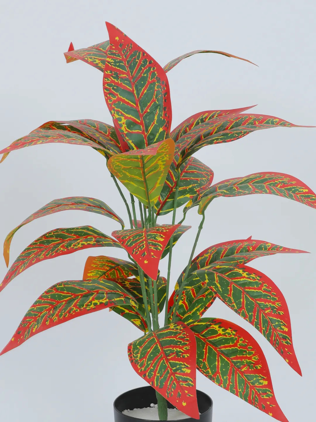 2.2Ft Artificial Red Croton Plants| 26 Leaves with Black Pot