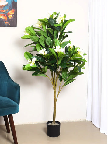 5Ft Artificial Champa & Frangipani Flowers Plants with Pot