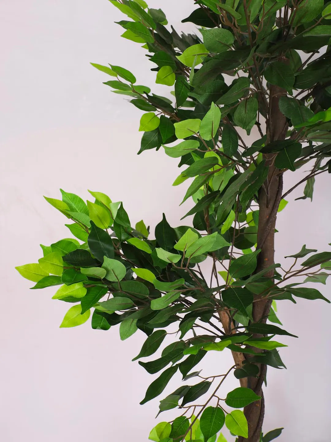 6.Ft Artificial Ficus Tree With Pot