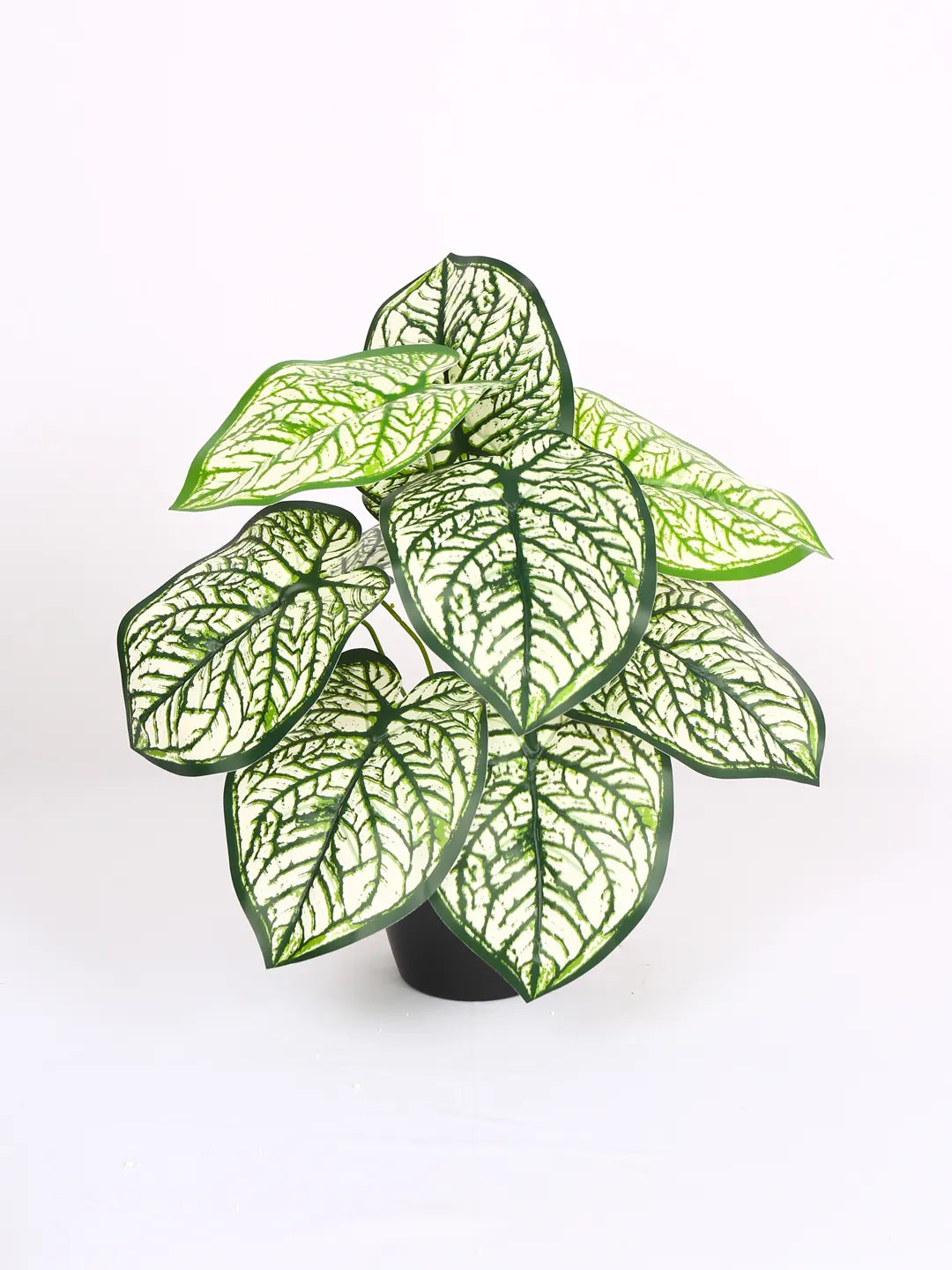 1.8Ft Artificial Plant with Pot 12 Leaves