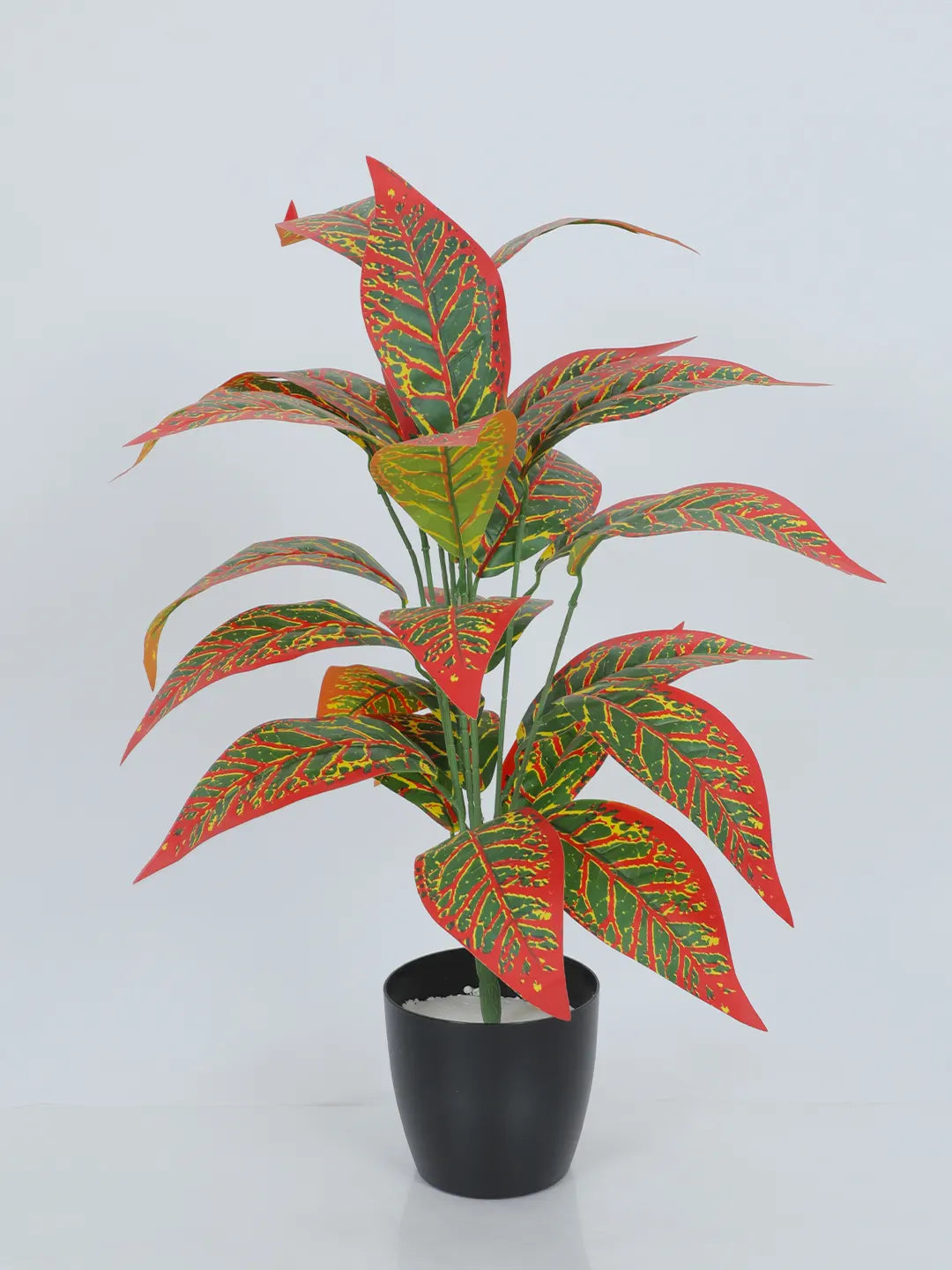 2.2Ft Artificial Red Croton Plants| 26 Leaves with Black Pot