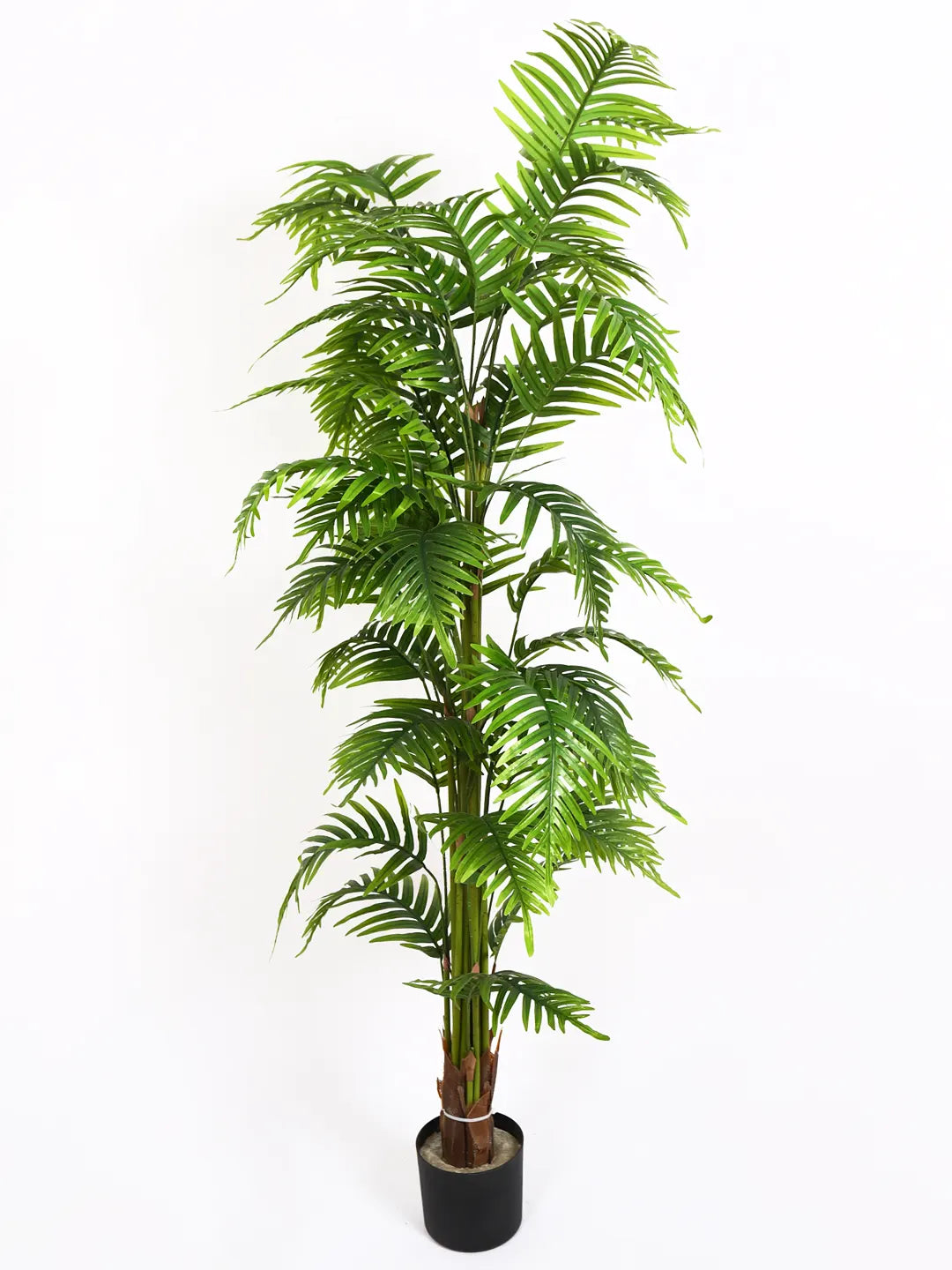 6Ft Artificial Date Areca Palm Plants with Pot