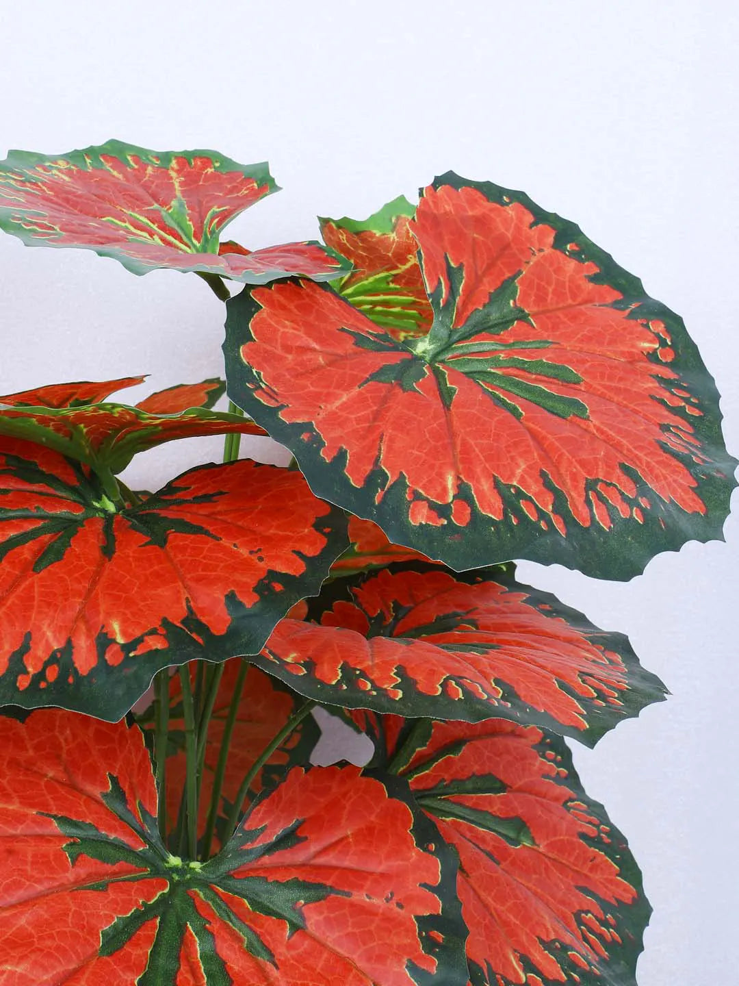 1.8Ft Artificial Rubber Plant With Pot