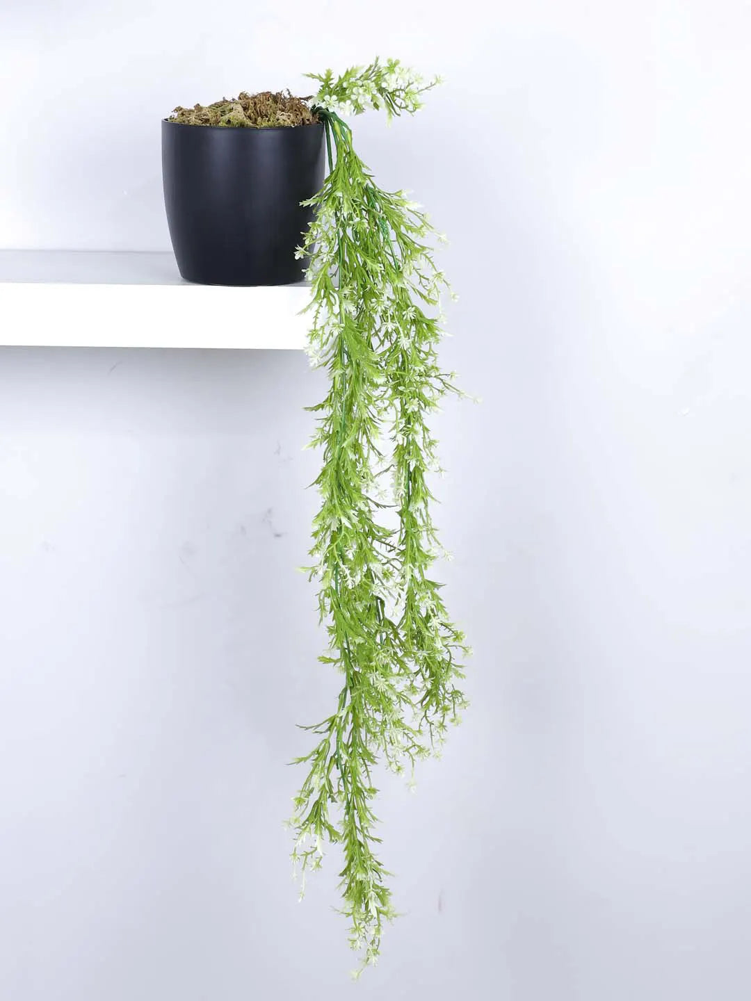 2.2Ft Artificial Plants String of Pearls Plant in Black Pot