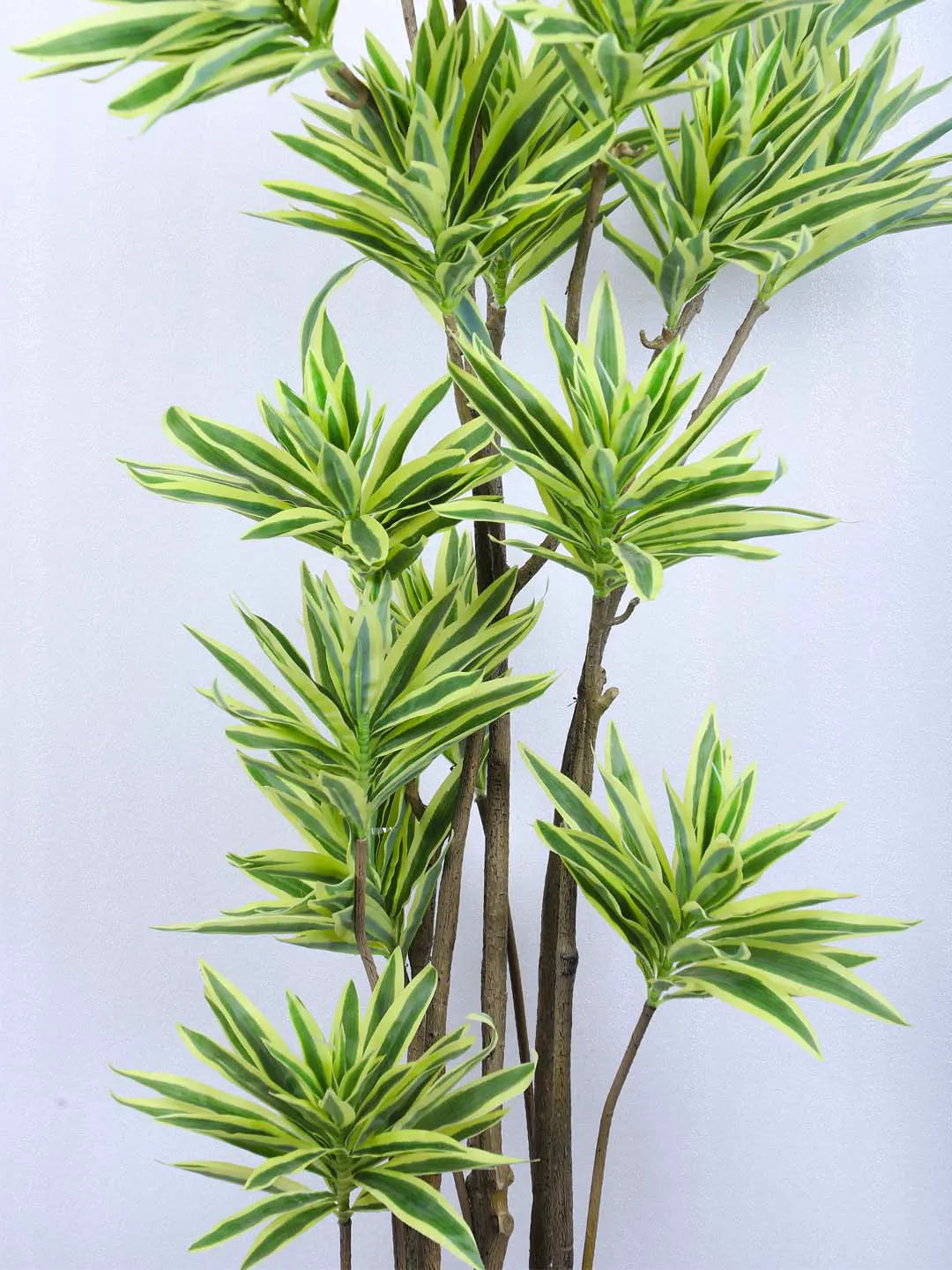 5.5Ft Artificial Dracaena Tree With Pot