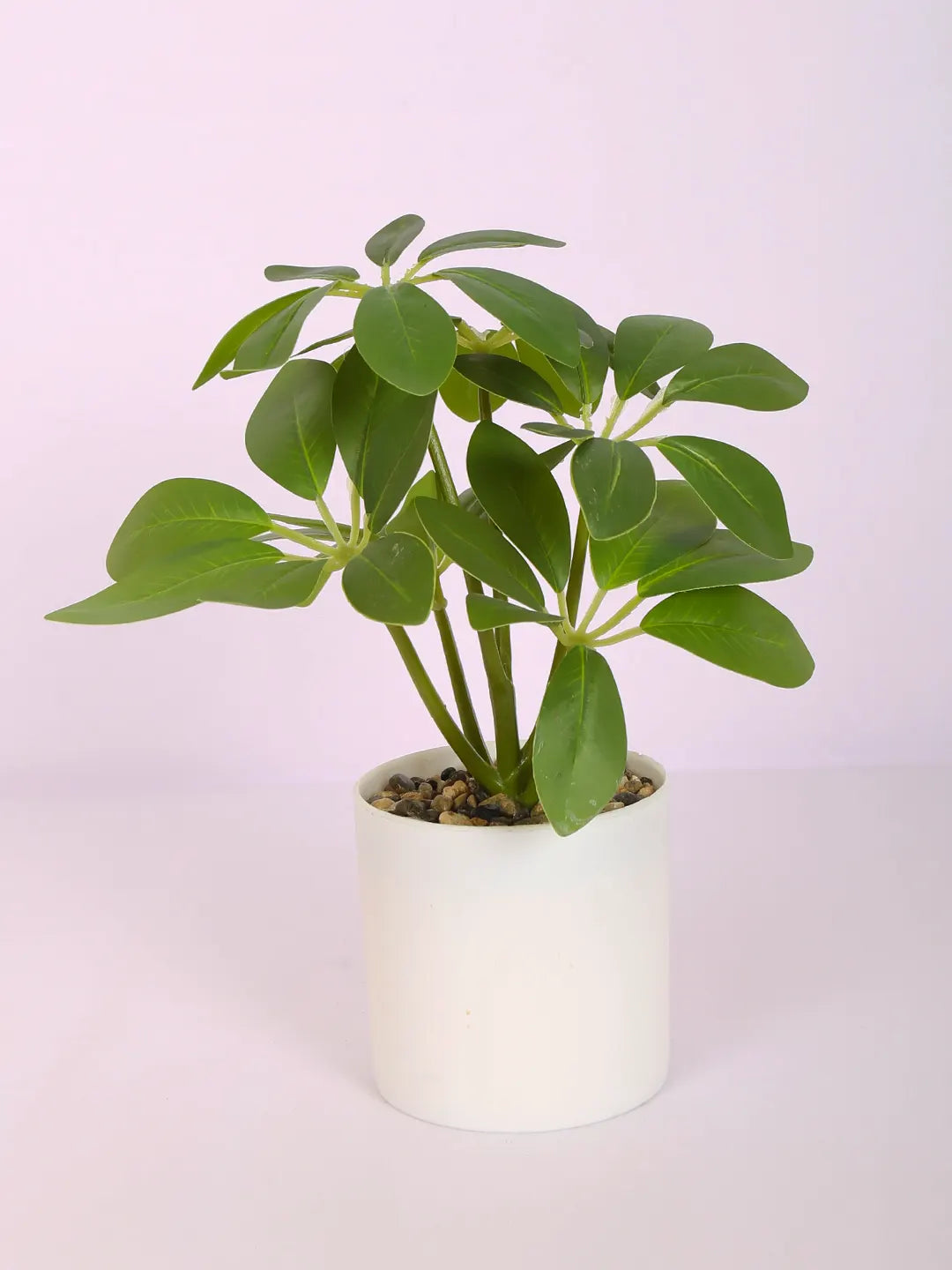 Artificial Schefflera Mini Bonsai Plant with White Pot