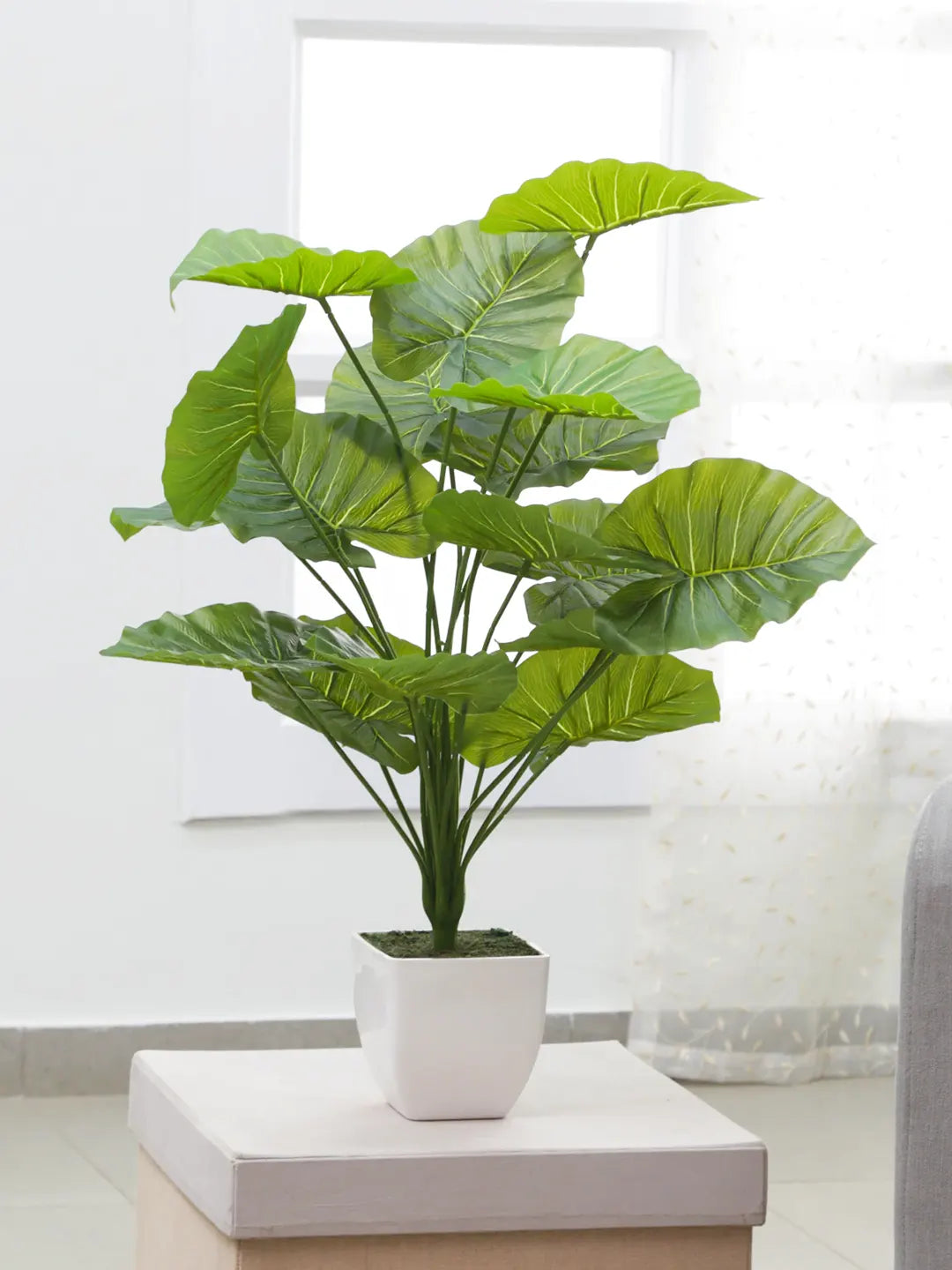 2.1Ft Artificial Rubber Plants for Without Pot