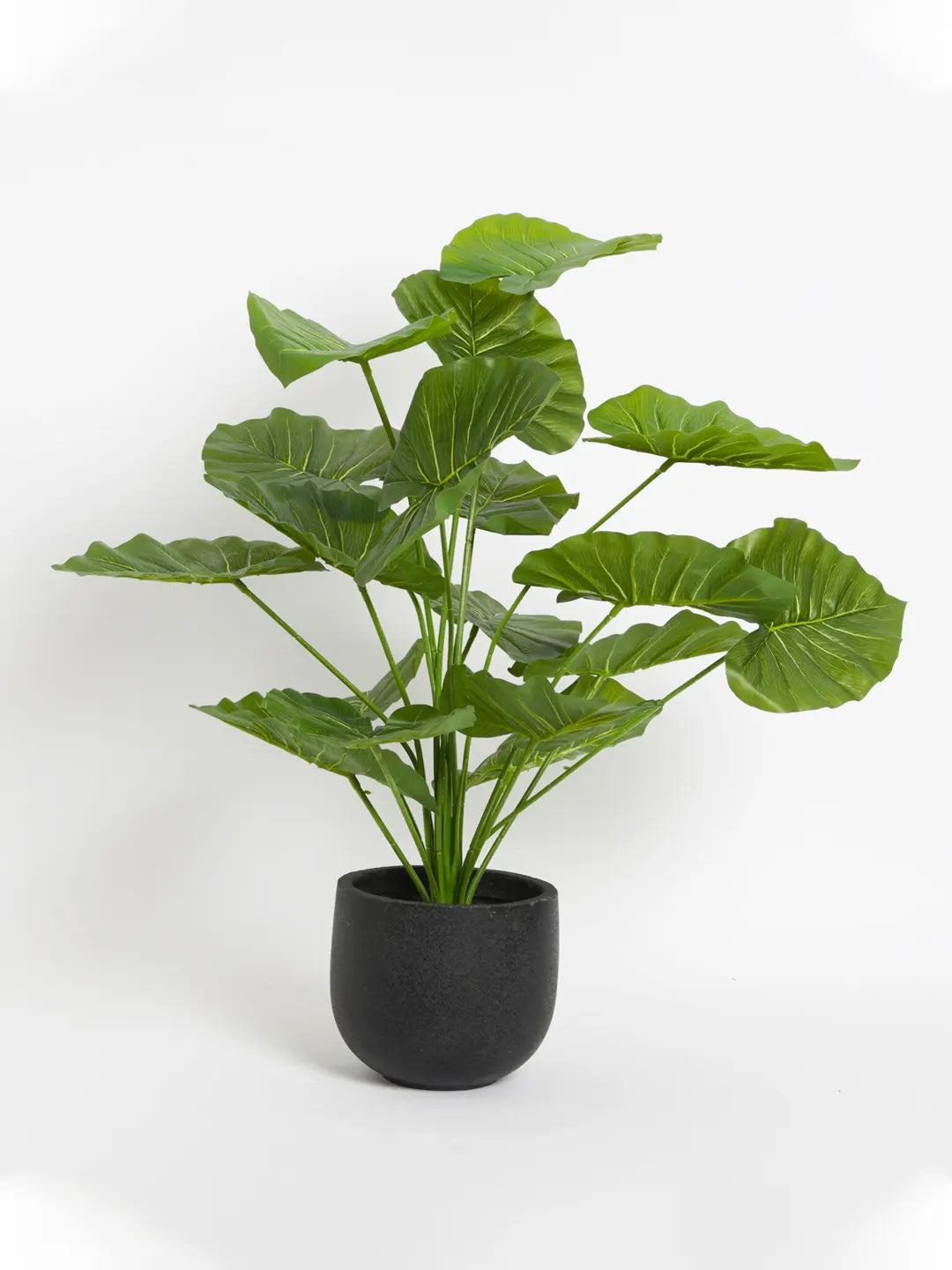 2.1Ft Artificial Rubber Plants for Without Pot