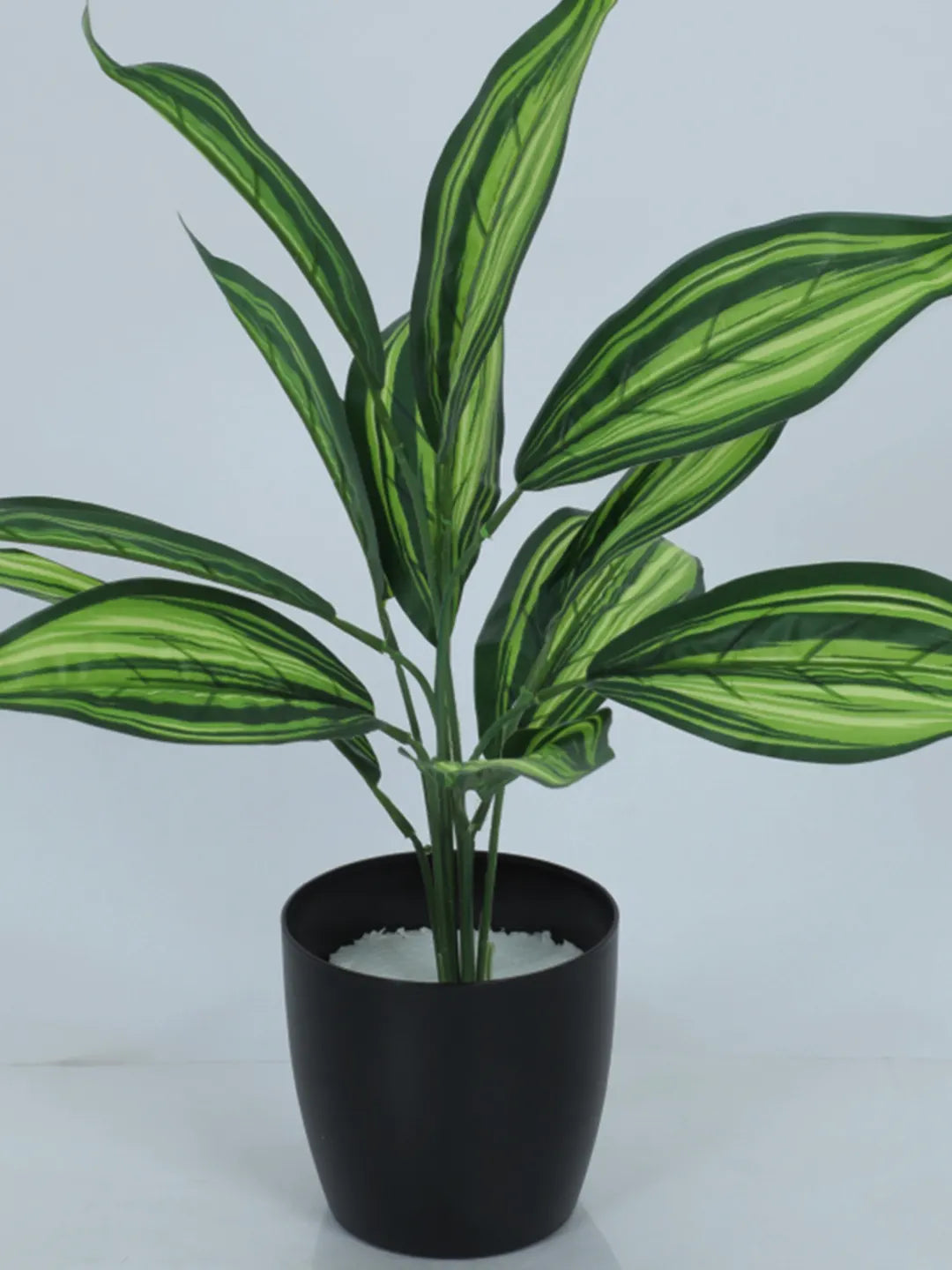 1.6Ft Artificial Dracaena Plants with Black Pot