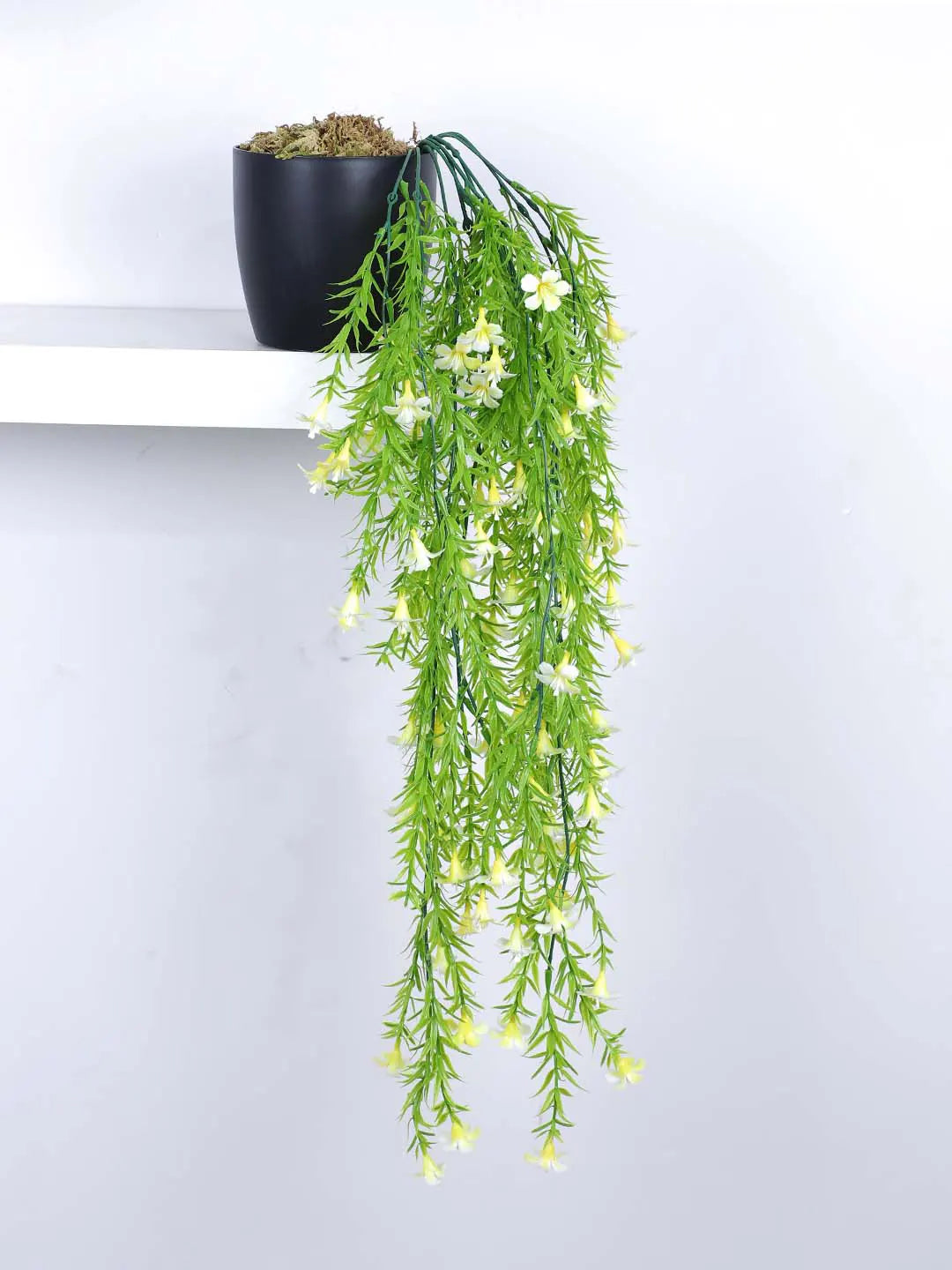 2.2Ft Artificial Plants String of Pearls Plant in Black Pot