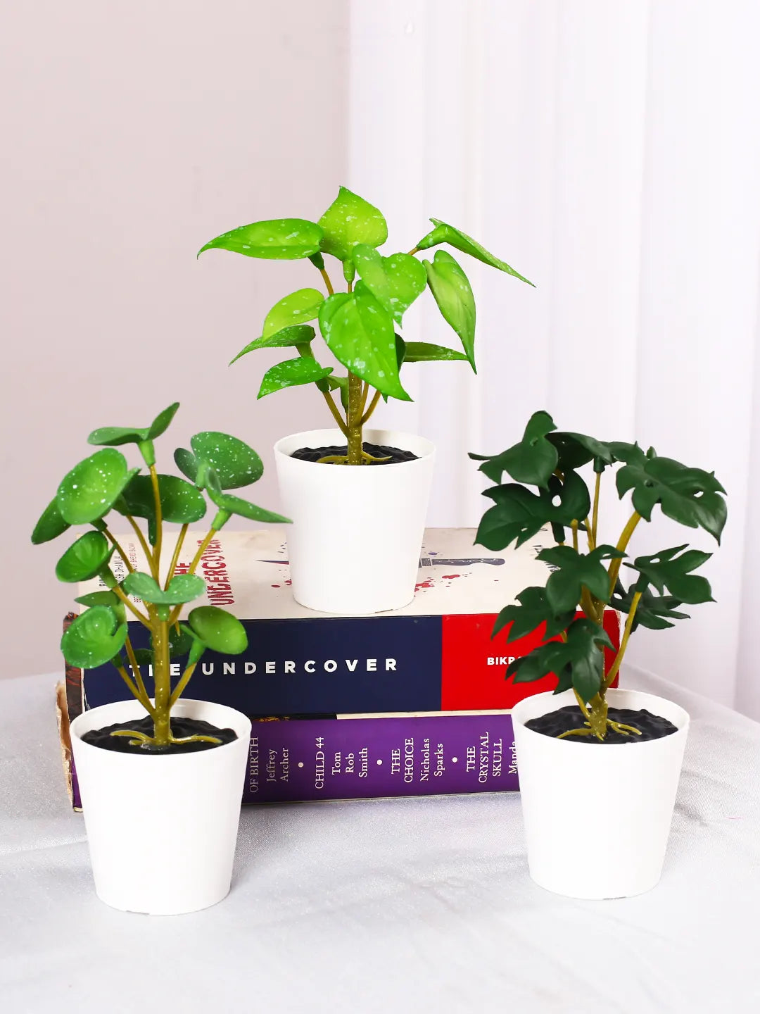 Artificial Tabletops Potted Succulent Plants Pcak of 3