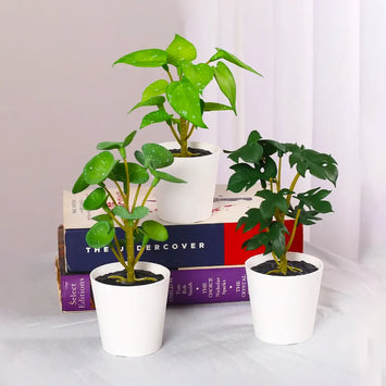 artificial dieffenbachia floor foliage plant in plante 2.1Ft Artificial Dieffenbachia Floor Plant with 18 Big Leaves with Pot – ARICK DECOR