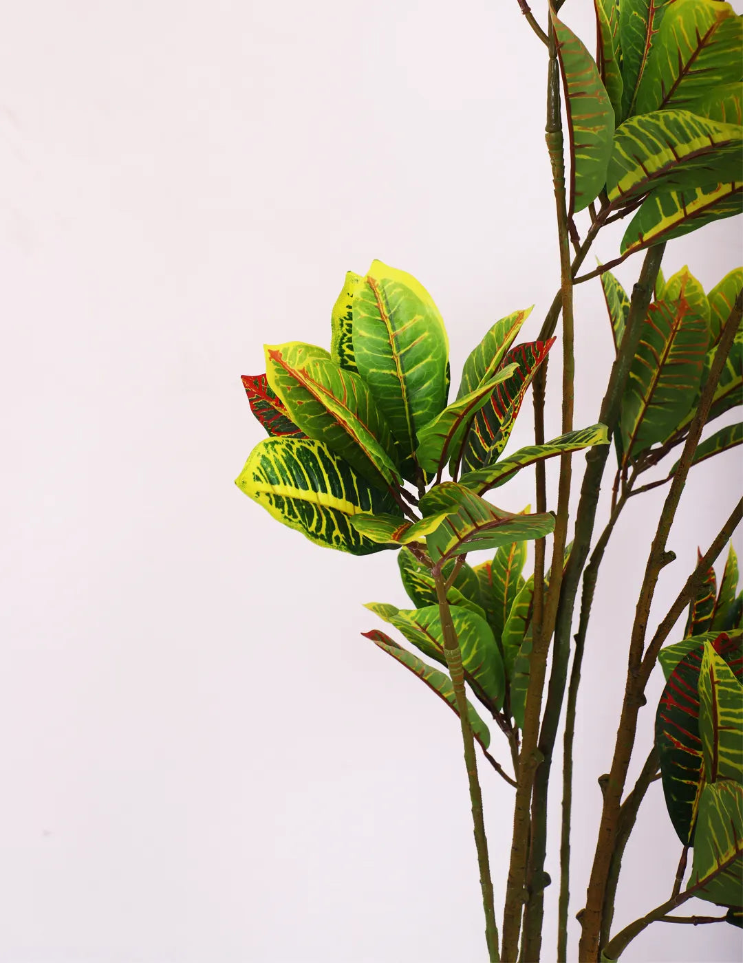 6.2Ft Artificial Yellow Croton Plant With Black Pot
