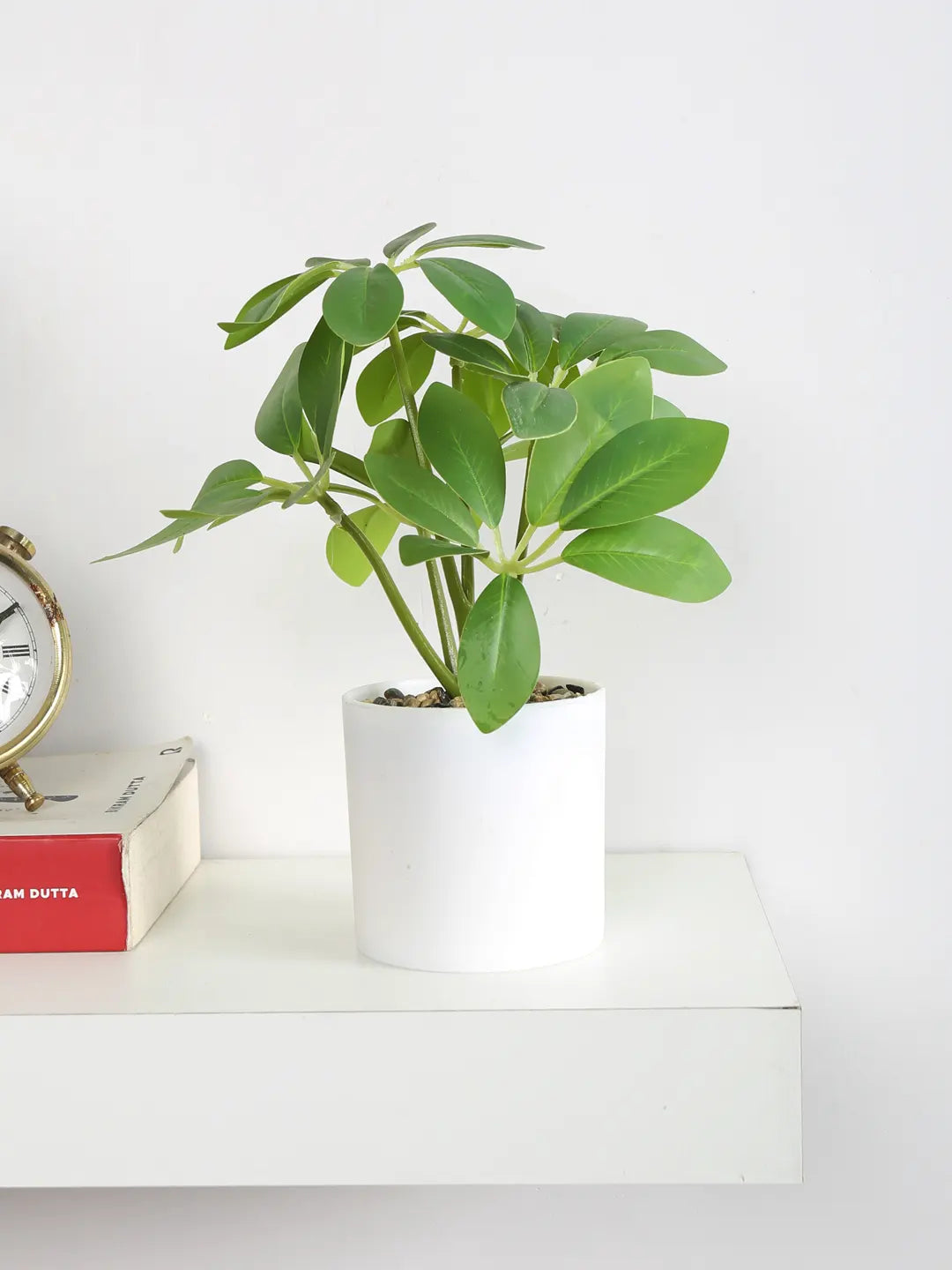 Artificial Schefflera Mini Bonsai Plant with White Pot
