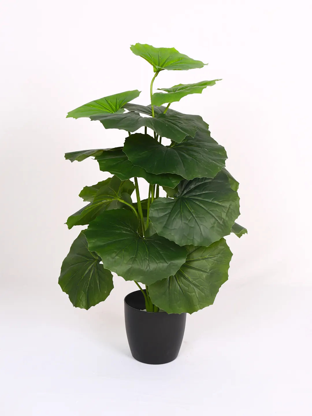2.1Ft Artificial Rubber Floor Plant with 18 Big Leaves with Pot