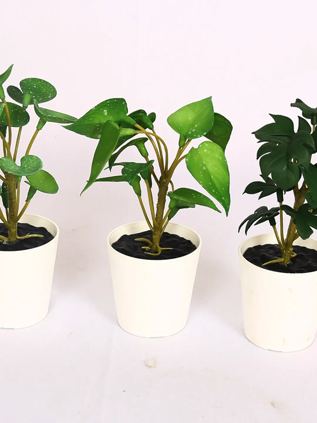 Artificial Tabletops Potted Succulent Plants Pcak of 3