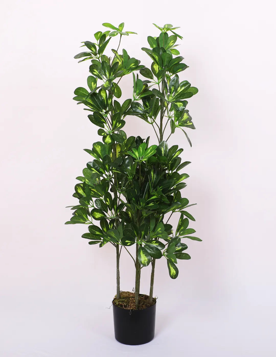 4Ft Artificial Schefflera Plant Trees with Pot