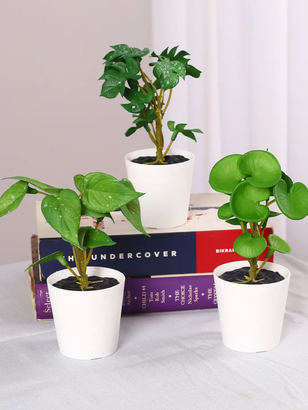 Artificial Tabletops Potted Succulent Plants Pcak of 3