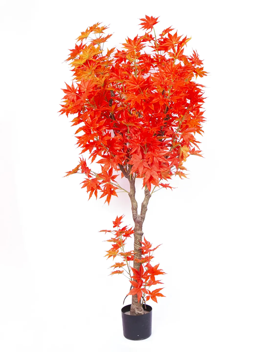 6Ft Artificial Maple Plant with Pot