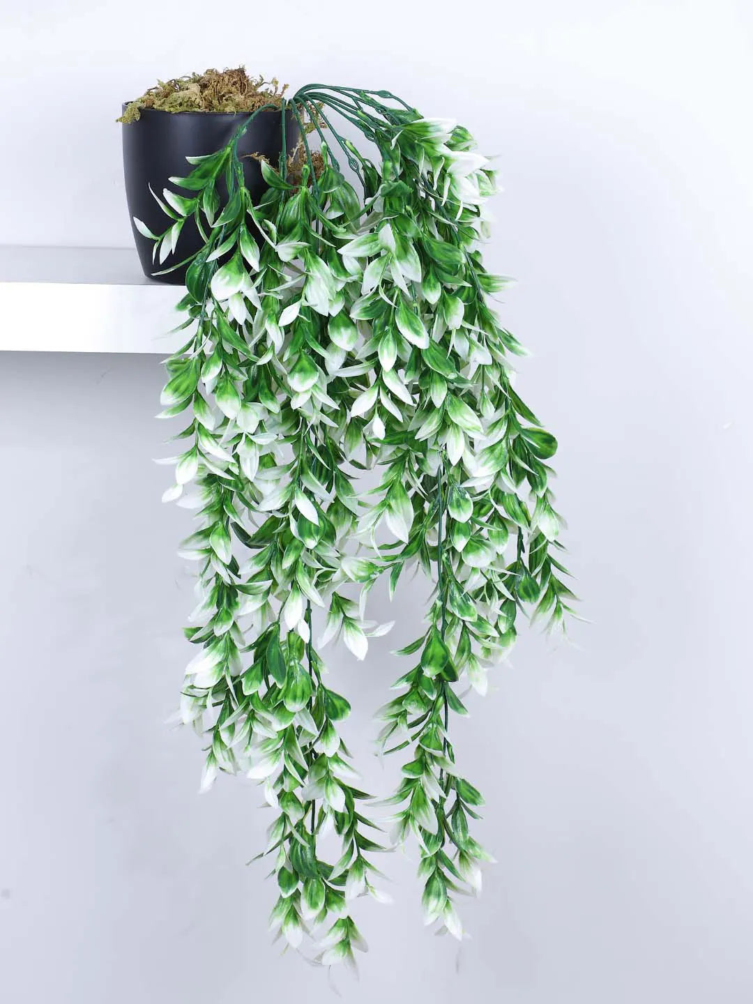 2.2Ft Artificial Plants String of Pearls Plant in Black Pots