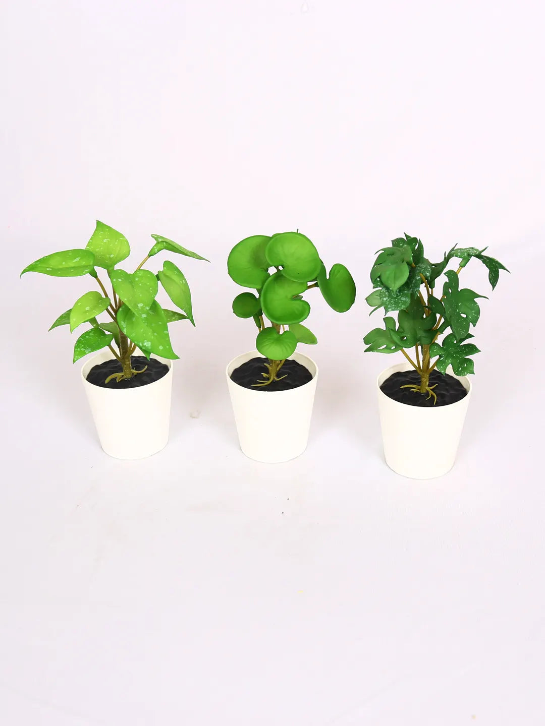 Artificial Tabletops Potted Succulent Plants Pcak of 3