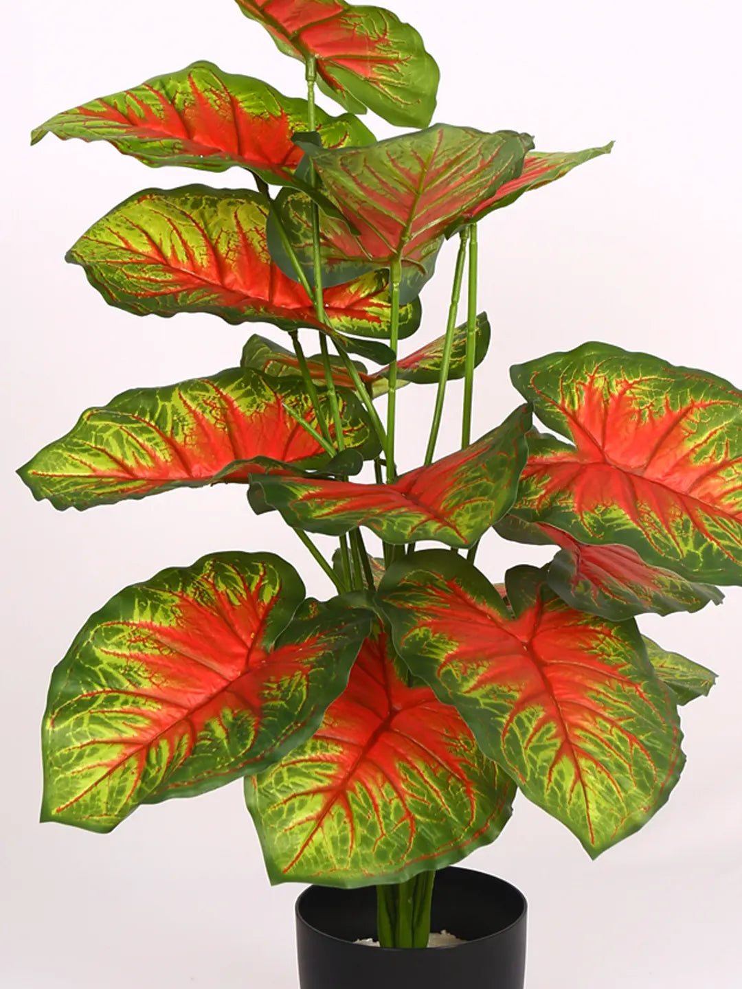 2.1Ft Artificial Calatheas Floor Plant with 18 Big Leaves with Pot