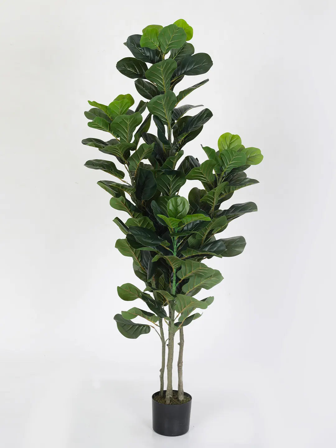6Ft Artificial Fiddle Leaf Fig Plants for with Pot
