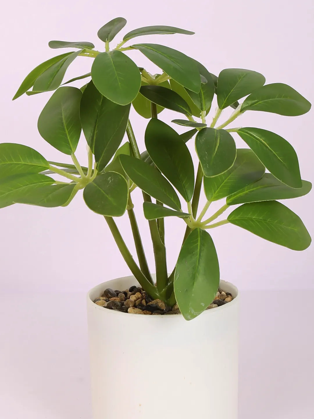 Artificial Schefflera Mini Bonsai Plant with White Pot