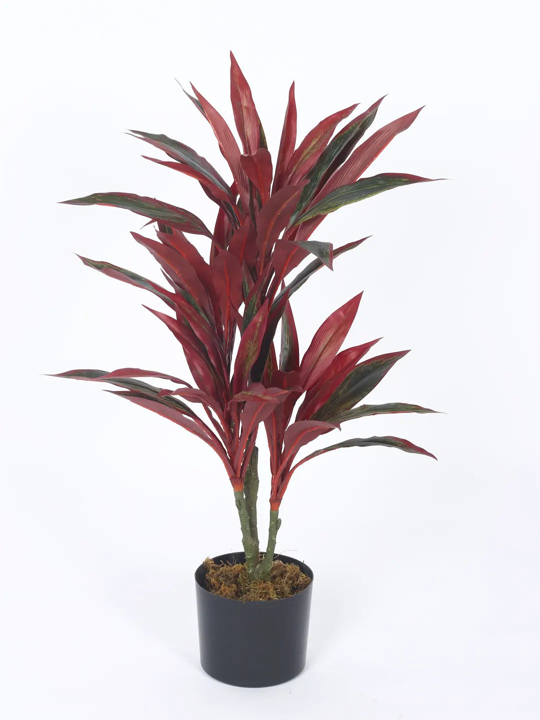 2.4Ft Artificial Dracaena with Black Pot