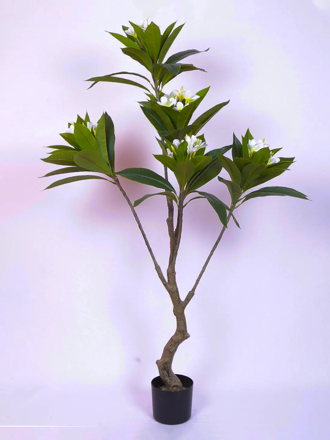 5Ft Artificial Magnolia Flowers Tree with Pot