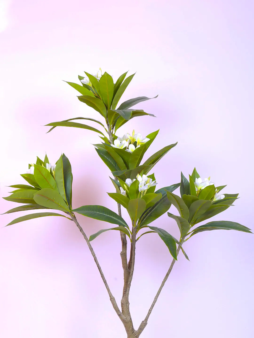 5Ft Artificial Magnolia Flowers Tree with Pot
