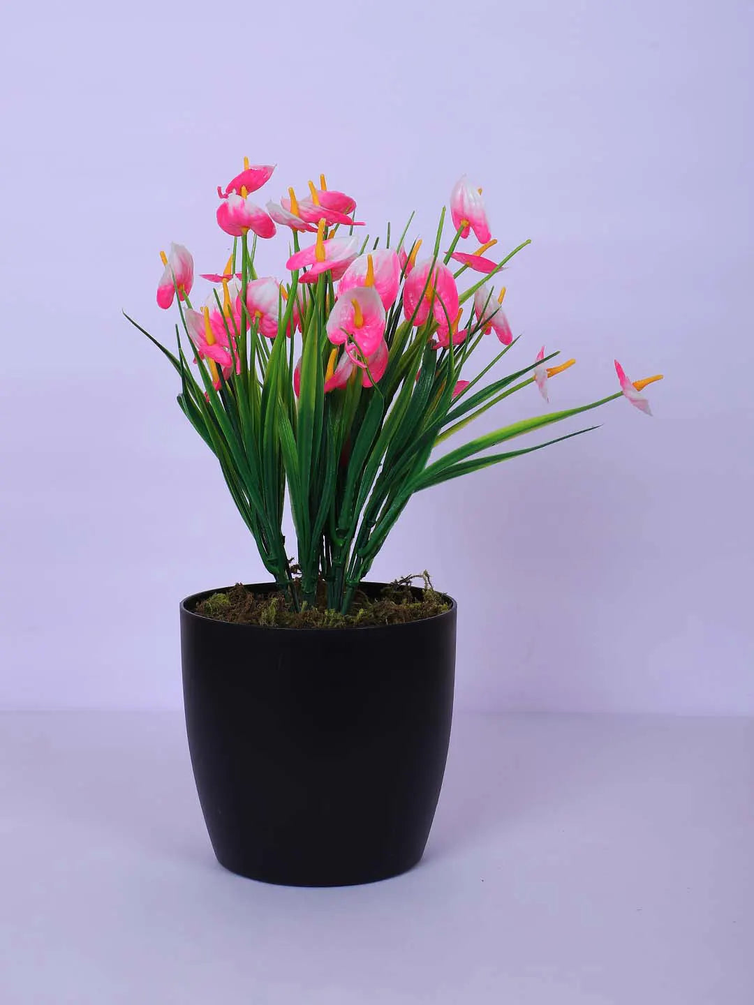 1Ft Artificial Anthurium Flower Plant With Black Pot