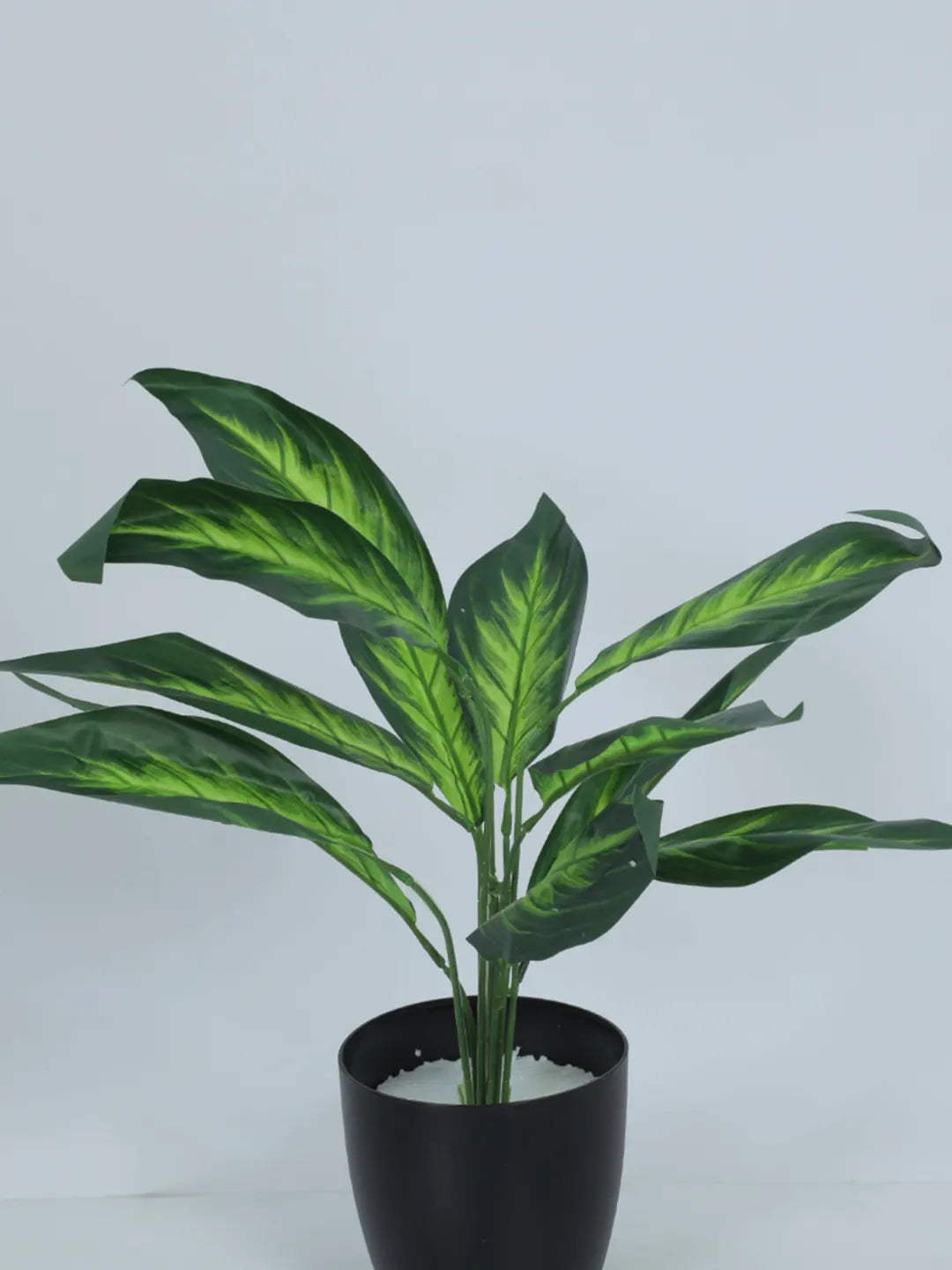1.6Ft Artificial Dieffenbachia Plants with Black Pot