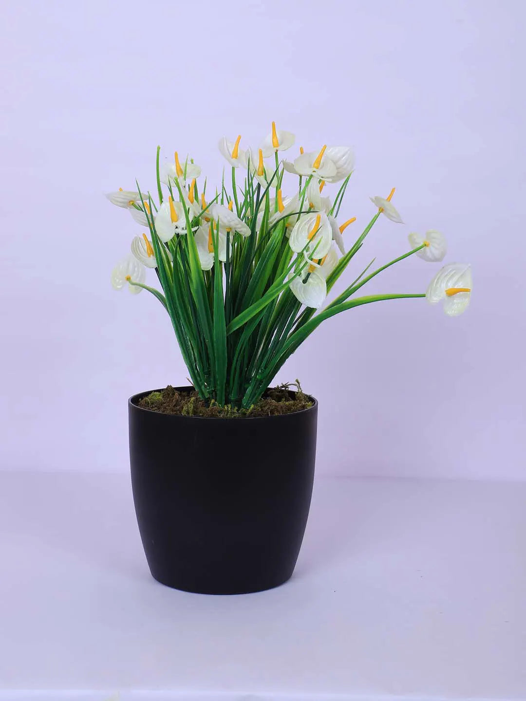 1Ft Artificial Anthurium Flower Plant With Black Pot