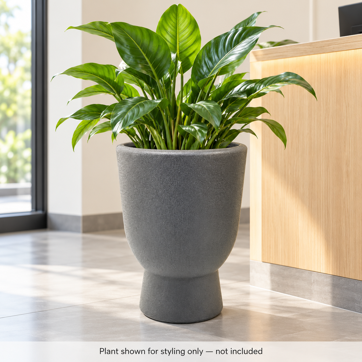 Charcoal Grey Textured Pedestal Planter – 35 cm
