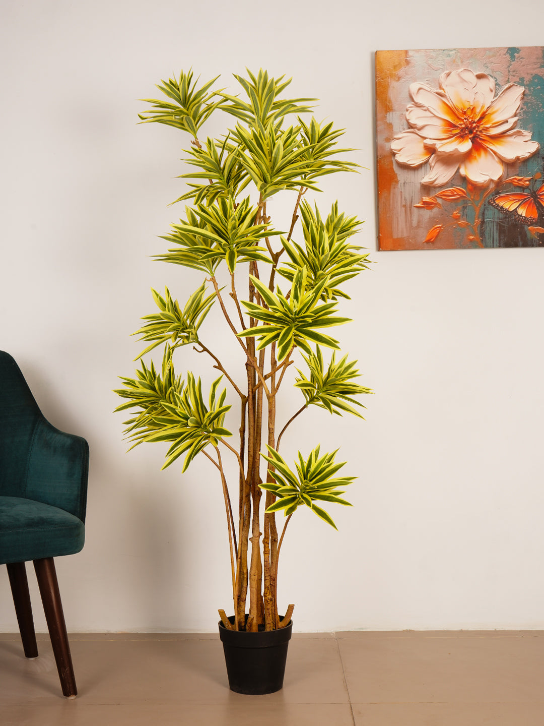 5.6ft Artificial Dracaena Reflexa Tree