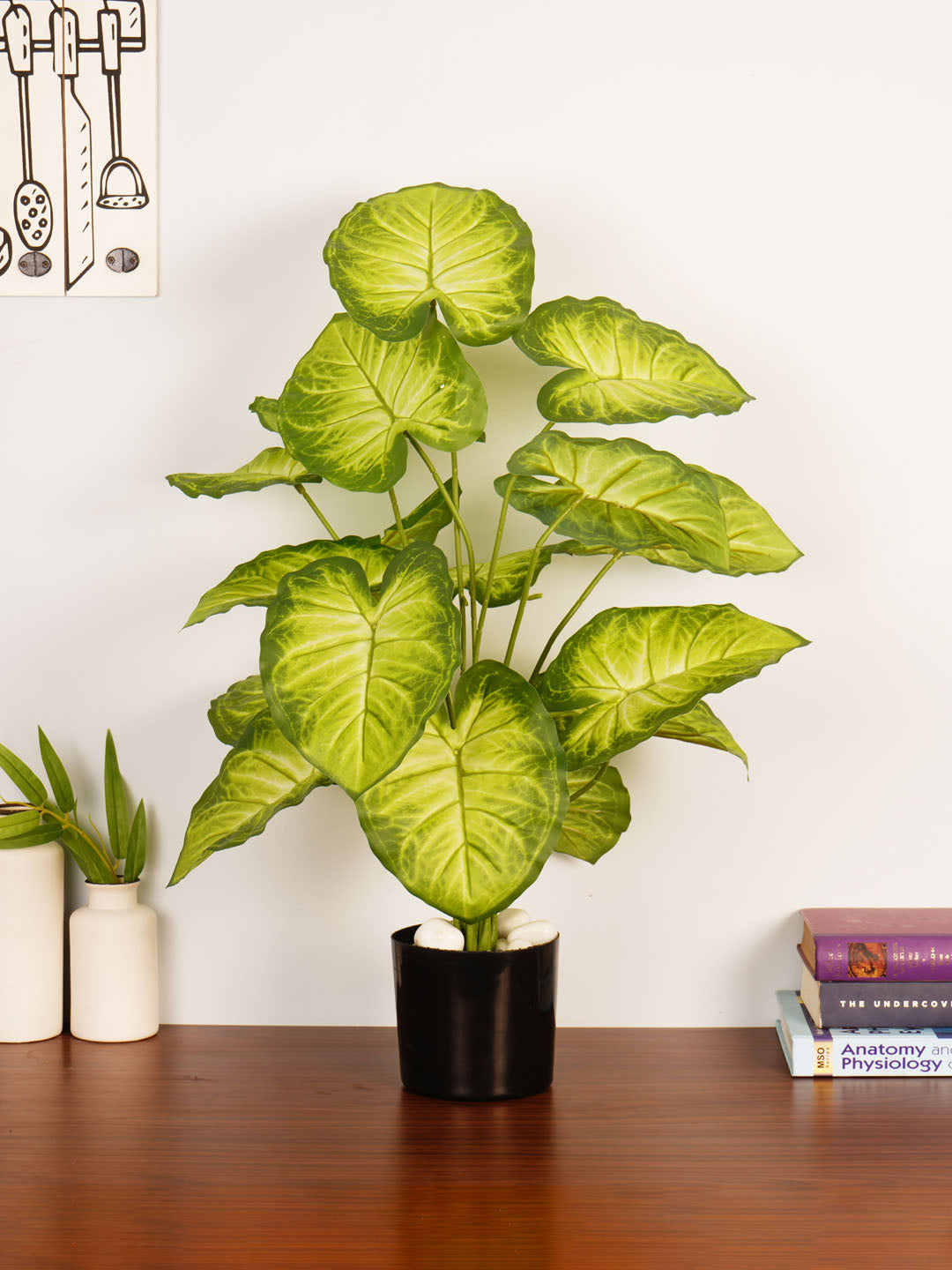 Artificial Dieffenbachia Plant - 65cm Tall