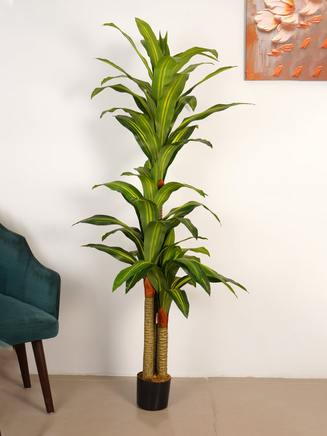 6Ft Artificial Dracaena Reflexa Tree in Pot