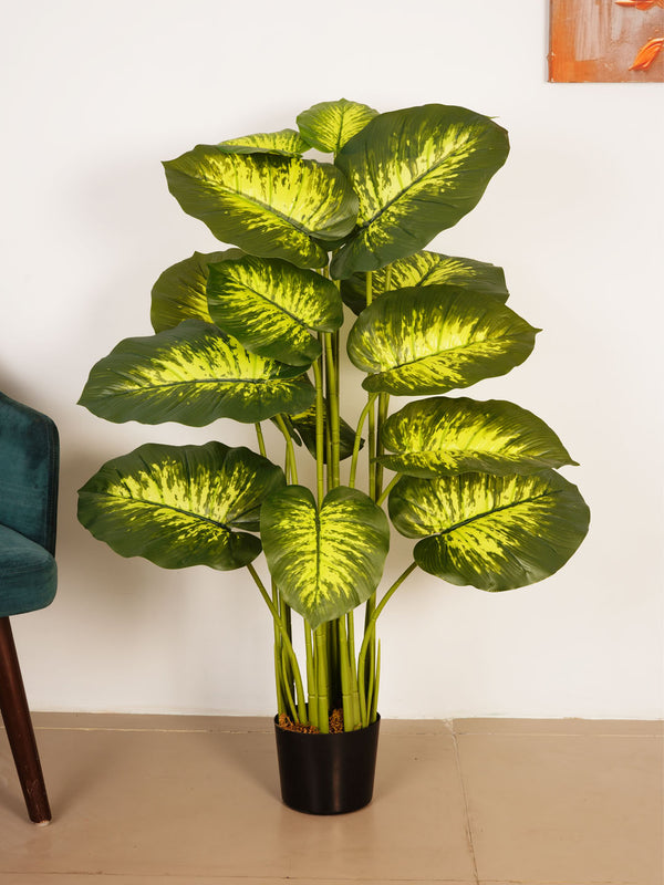 Artificial Dieffenbachia   Bold Statement • Forever Green