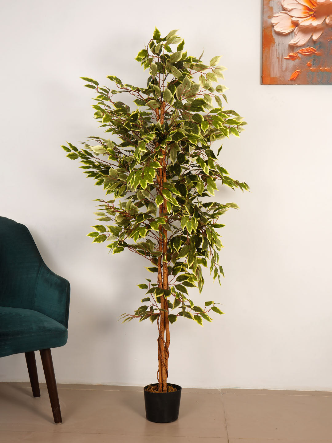 6Ft Artificial Variegated Ficus Tree in Pot