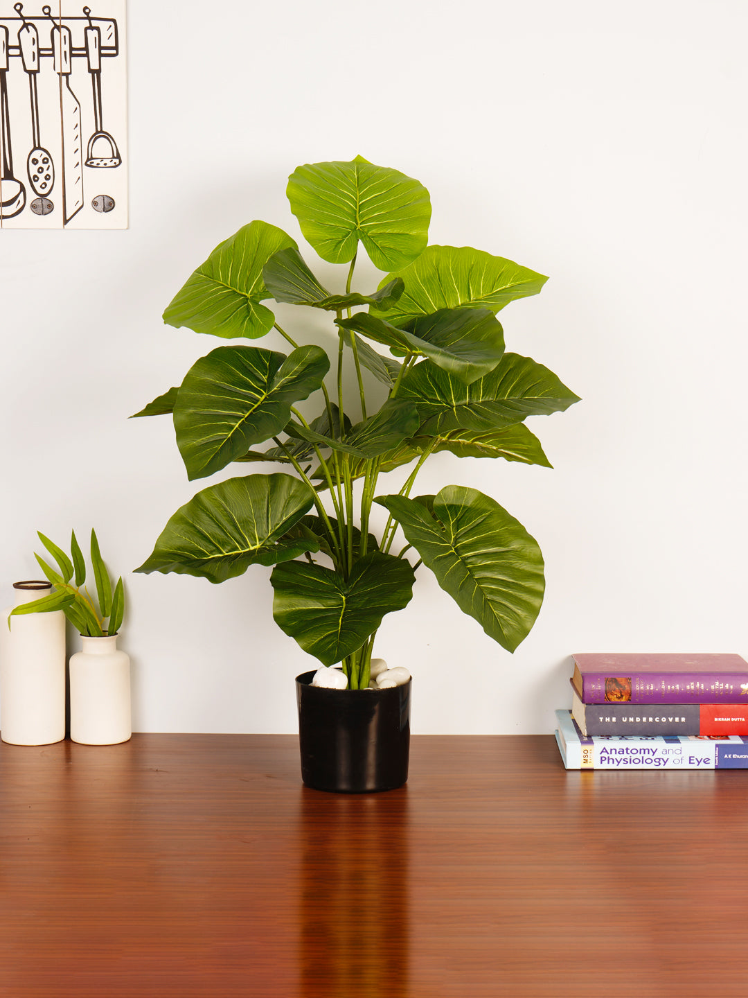 Artificial Rubber Plant - 65cm Tall