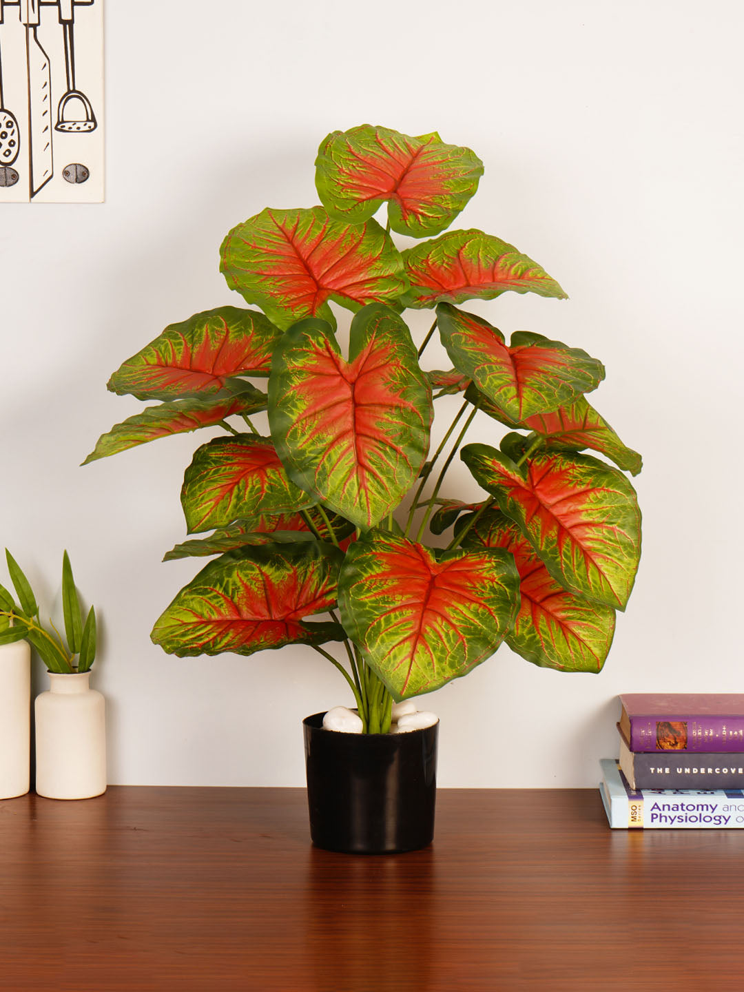 Artificial Caladium Plant - 65cm Tall