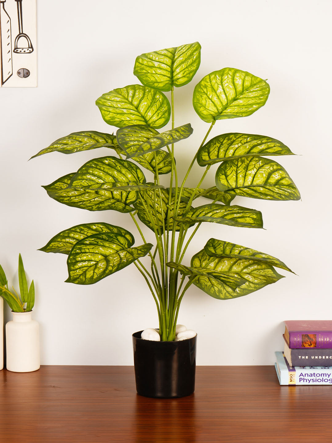 Artificial Dieffenbachia Plant - 65cm Tall