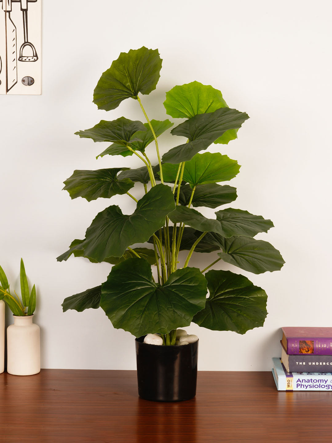 Artificial Rubber Plant - 65cm Tall